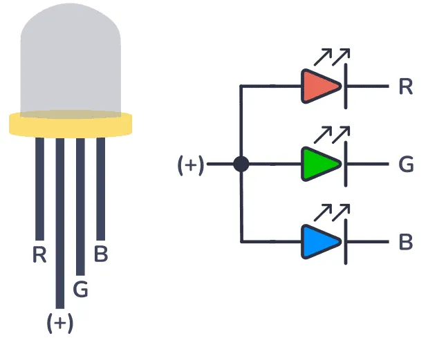 RGB LED 5MM ANODE.webp