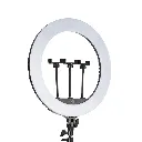 417025.webp