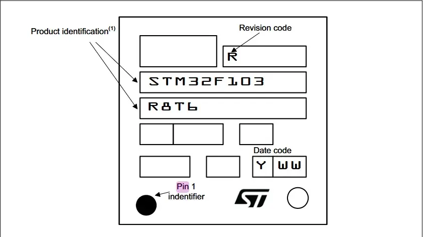 STM32 Development Board.webp