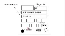 STM32 Development Board.webp