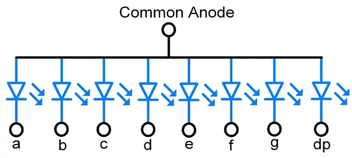Common Anode.webp