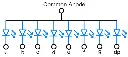 Common Anode.webp