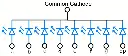 Common Cathode.webp