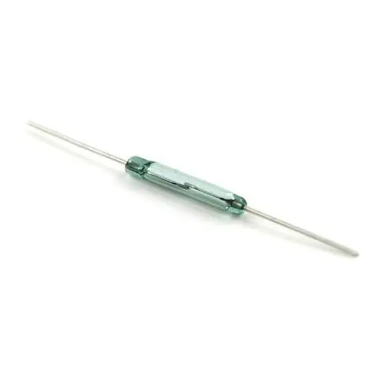 Reed Switch (Magnetic Switch)