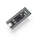 STM32 Development Board (The Black Pill)