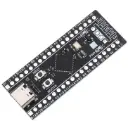 STM32 Development Board (The Black Pill)