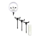 Ring Light LED with Adjustable Color Temperature